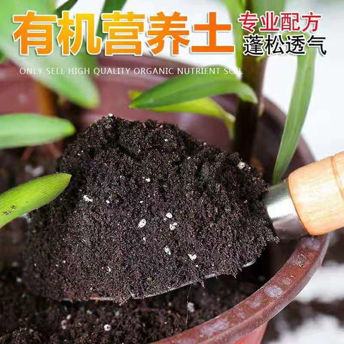 营养土通用型土种花花卉土多肉土绿萝专用土花肥花药种菜土绿植土