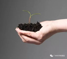 高三地理二轮复习微专题 土壤