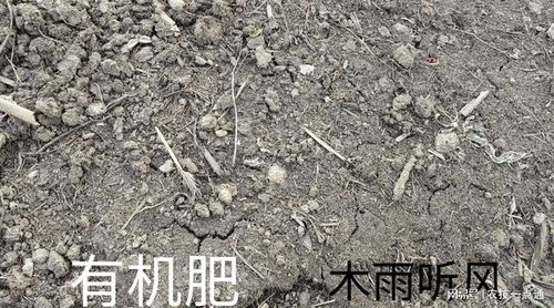 植物种植,如何将田园土,改造成肥沃的营养土 具体的改造方法