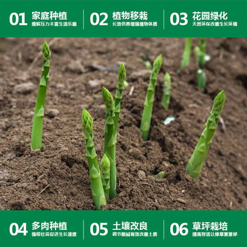 营养土通用土种花种菜土壤花肥料花卉绿萝土多肉土种植土有机花土