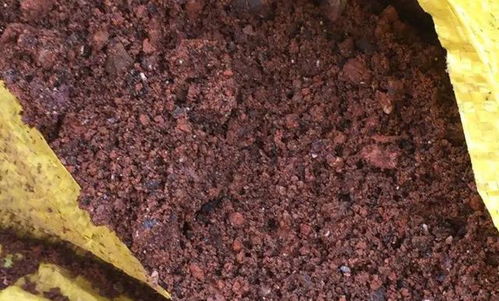 煤渣养花的正确姿势 使用方法 好处 配制技巧,全得弄清