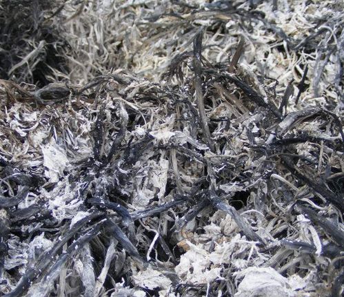 草木灰用量多了会烧根吗_红薯用草木灰的缺点