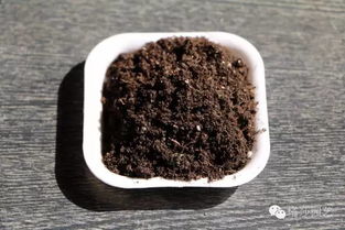 必看 关于养花用土,一次科普,终身受益