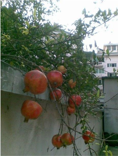 无标题