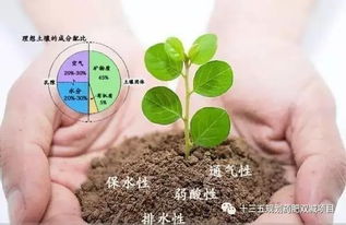 好文 土壤有机质到底有多重要 有机质含量偏低原