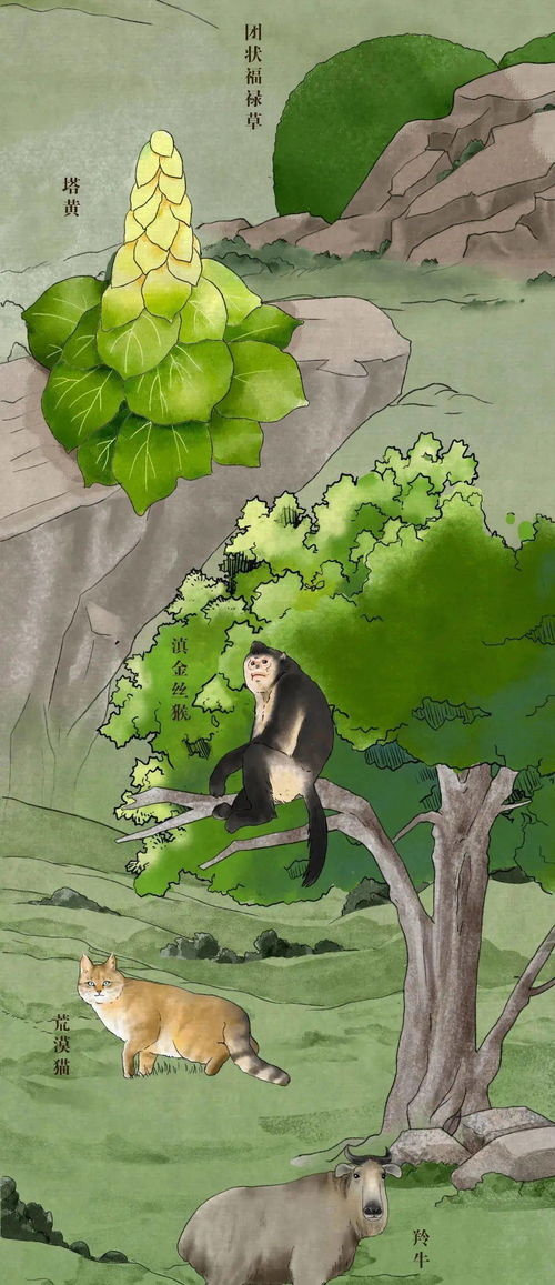 聚焦COP15 中国珍稀动植物图鉴