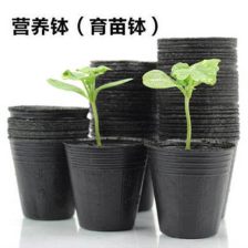苗圃营养钵花盆
