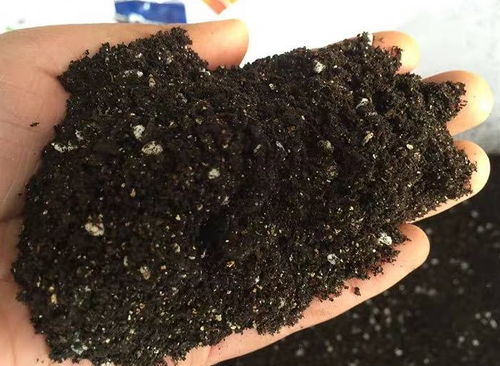 蓝妖 养花用花多多就够了,花多多真的是个骗局吗