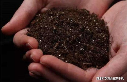 土壤用冻干法来干燥的优点和缺点