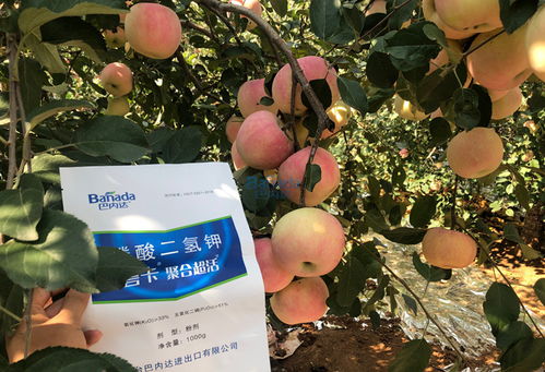 磷酸二氢钾的作用及使用注意事项是什么