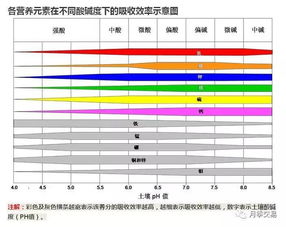 怎样用试纸测土壤ph值;用试纸怎么测土壤ph值