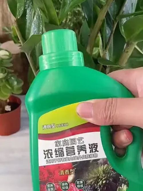 要想花儿开的艳,一款好用的营养液很关键,分享一款通用型浓缩营养液给大家,水培,地栽,盆栽都可以用 家庭园艺浓缩营养 园艺生活 