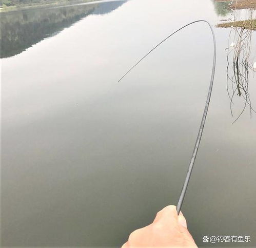 初春野钓,用长竿还是用短竿 什么时候钓远,什么时候钓近