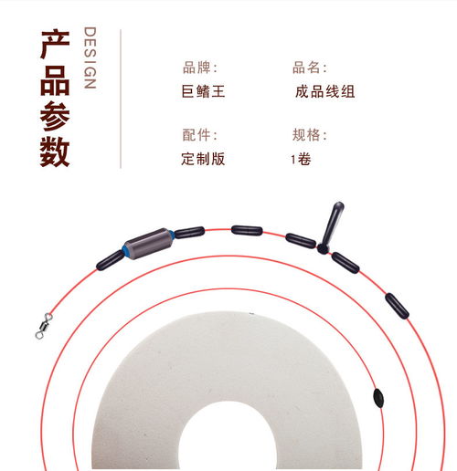 主线子线双钩大物垂钓钓鱼用品渔具