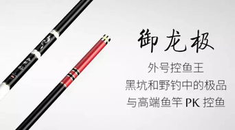 黑坑钓鱼,选用什么钓竿最靠谱