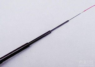 台钓的钓竿应该如何选择调整