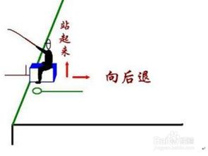 钓鱼技巧大全 钓鱼比赛中溜鱼抄大鱼方法与要领 