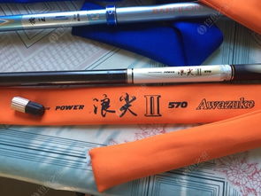 出坑,卖宝飞龙和天元鱼竿