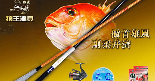 云南狼王渔具提供加盟费用 加盟条件 代理政策等详细信息 D8商机网
