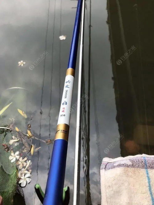 新手如何选鱼竿 价格不是关键,适合自己才是重点