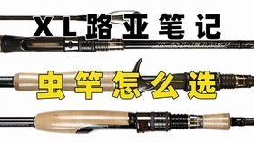 路亚竿富士fuji导环的种类和特性,掌握后你比渔具店老板还专业