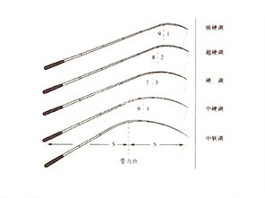 新手钓鱼如何选择一个合适的鱼竿