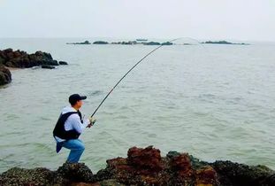客来珠海 梦幻垂钓的圣地