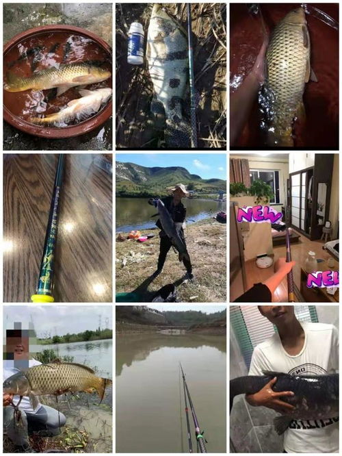 什么鱼竿钓鱼最好,又不贵