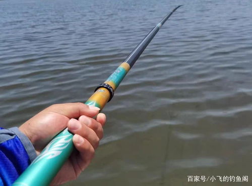 新手买什么鱼竿 这7款鱼竿便宜又结实,野钓十斤大鱼没压力