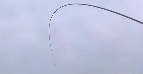 10米鱼竿不好选 老钓手是这样选,好用又便宜