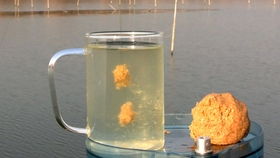 野钓鲫鱼小药配方大全 什么牌子的钓鱼小药好 经典钓鱼小药