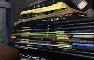 5种鱼竿的,性同样是鱼竿价位却不同,关于鱼竿的性能有必要了解