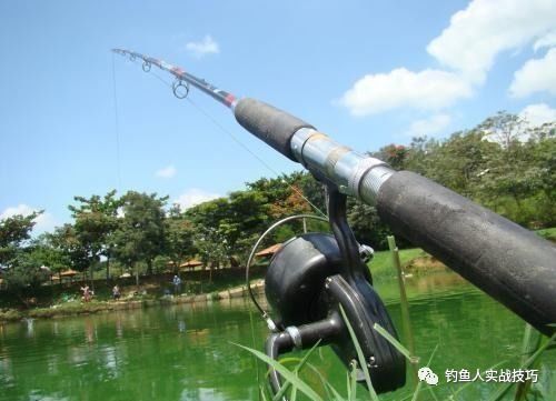 夏天怎么钓鱼 老钓友用这些 钓谚 完美解题,新手 暴露年龄了
