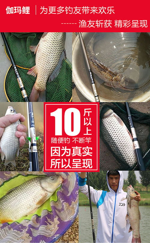 鱼竿日本进口碳素正品伽玛鲤鱼竿手竿超轻超硬28调台钓竿钓鱼竿套装