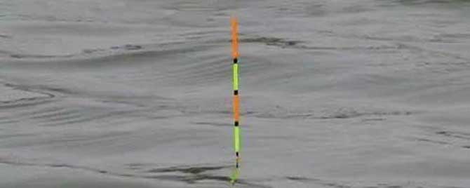 手竿钓鲢鳙漂相视频 钓鲢鳙漂相怎样抓口